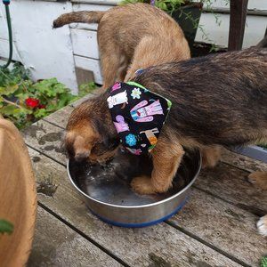 Dog bandanas, double sided, handmade by my label